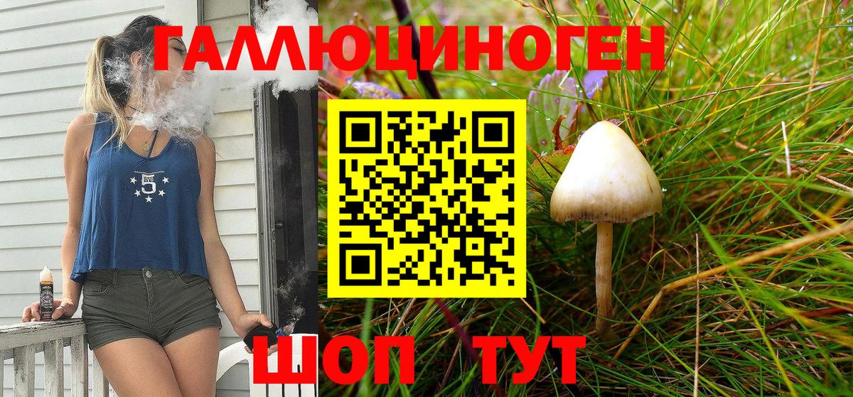 Псилоцибиновые грибы мухоморы  Вход с VPN  Протвино 
